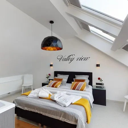 A&b Wellness 12 Personen * Hunningen