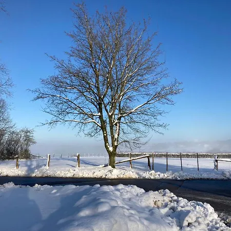 別荘 A&b Wellness 12 Personen *