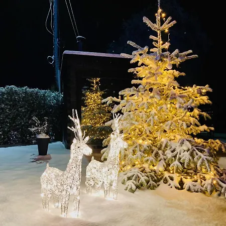 A&b Wellness 12 Personen 別荘