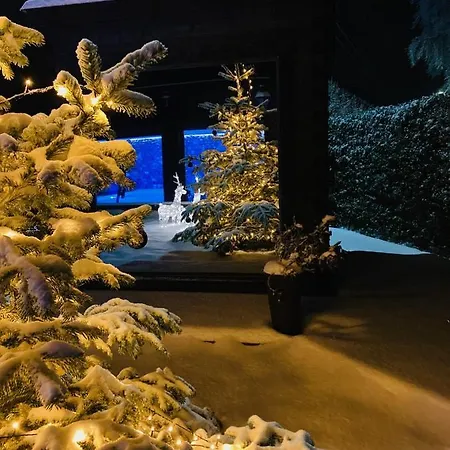 Vakantiehuis A&b Wellness 12 Personen Hunningen