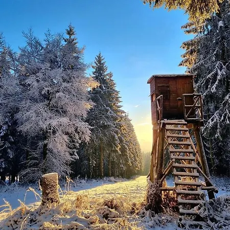 別荘 A&b Wellness 12 Personen Hünningen