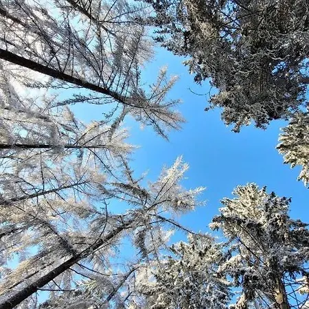 Vakantiehuis A&b Wellness 12 Personen