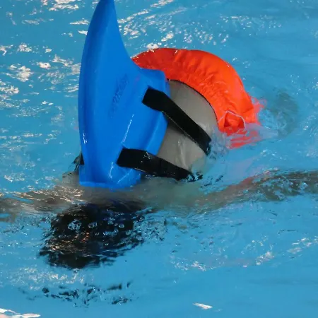 Vakantiehuis A&b Wellness 12 Personen *