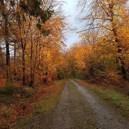 A&b Wellness 12 Personen 別荘 *