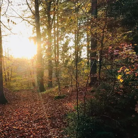 Vakantiehuis A&b Wellness 12 Personen