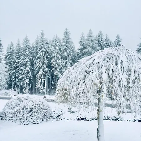 A&b Wellness 12 Personen Vakantiehuis